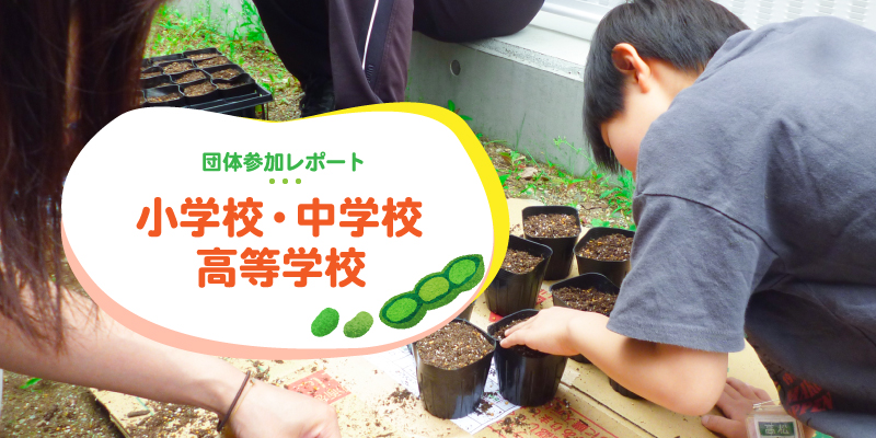 メインイメージ