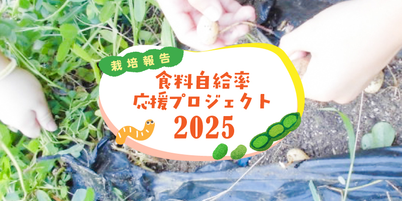 メインイメージ