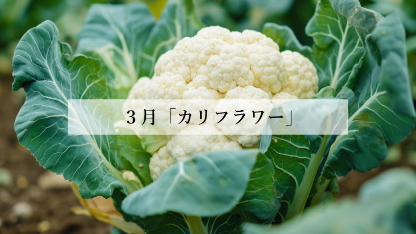  体に効く食薬ごはん 3月『カリフラワー』