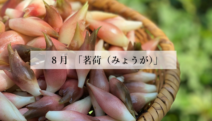 **体に効く食薬ごはん**<br> 8月「茗荷(みょうが)」