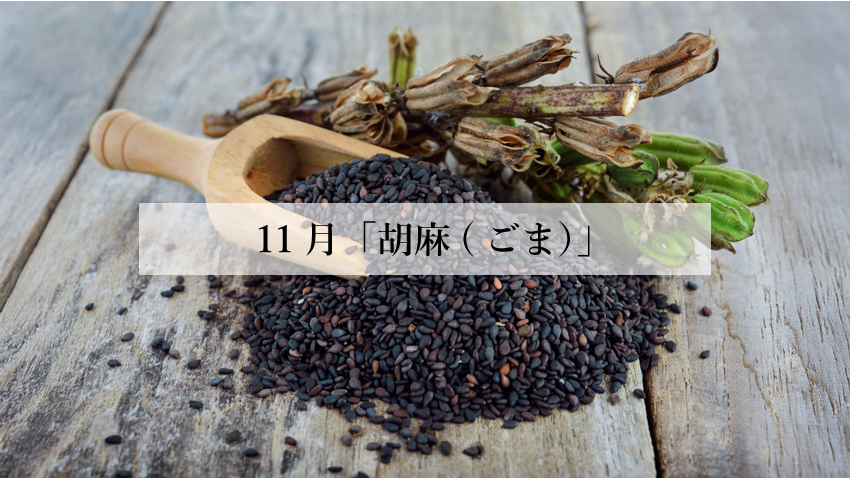 体に効く食薬ごはん 11月『胡麻(ごま)』