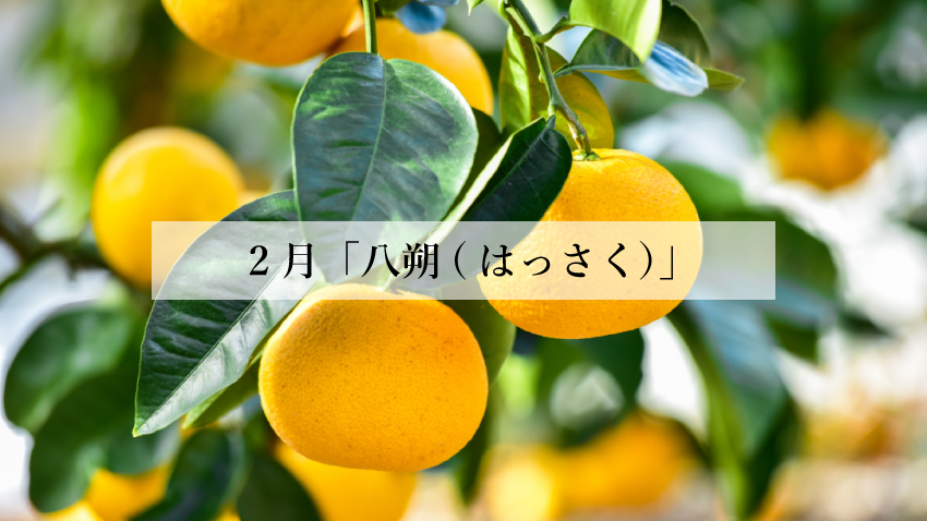 体に効く食薬ごはん 2月『八朔(はっさく)』