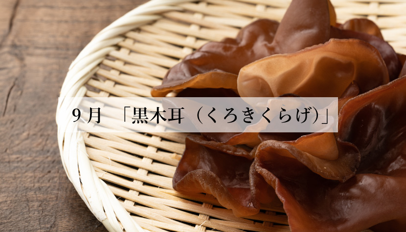 体に効く食薬ごはん 9月『黒木耳（くろきくらげ）』