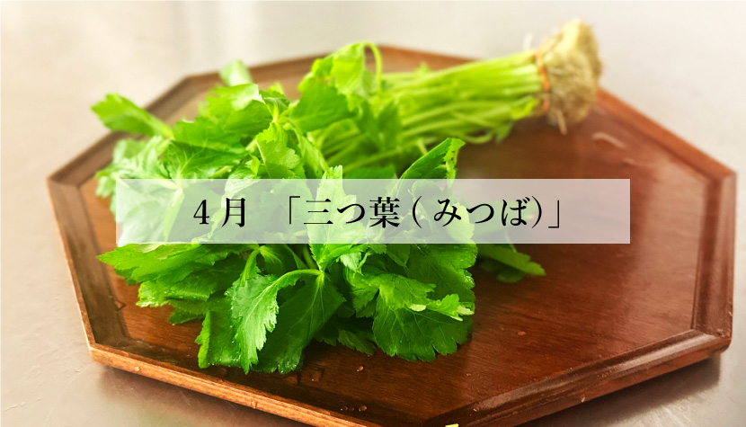 体に効く食薬ごはん 4月「三つ葉（みつば）」