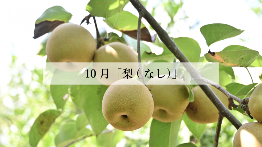 体に効く食薬ごはん 10月『梨（なし）』