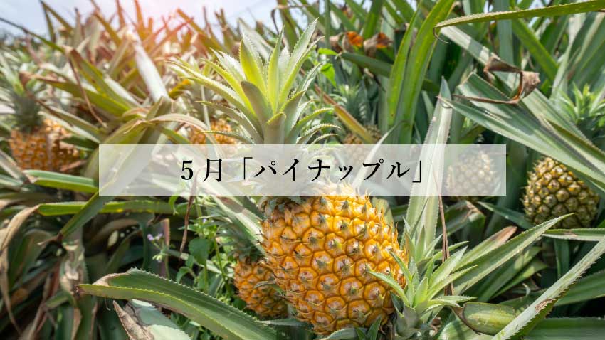 体に効く食薬ごはん 5月『パイナップル』