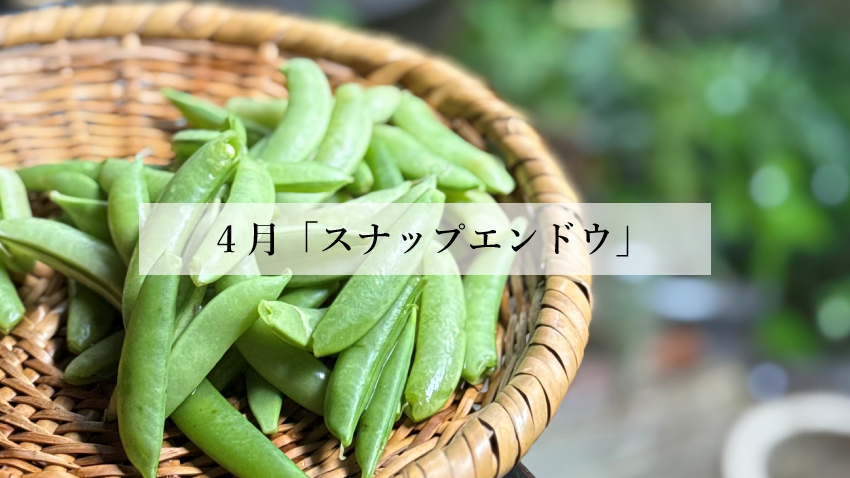 体に効く食薬ごはん 3月『スナップエンドウ』