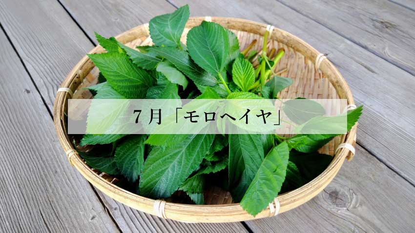 体に効く食薬ごはん 7月『モロヘイヤ』
