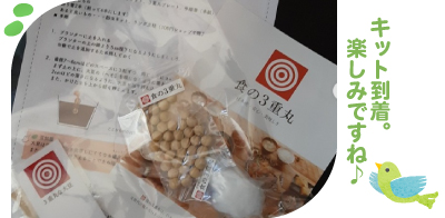 大豆の種まき