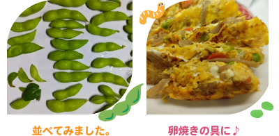 大豆の収穫