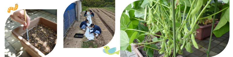 種うえ
