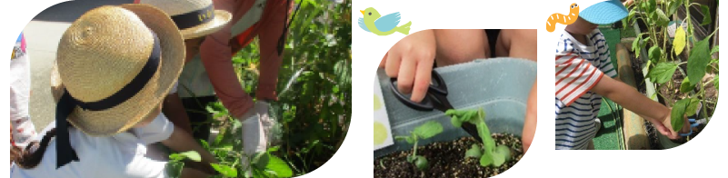 種うえ・植替え
