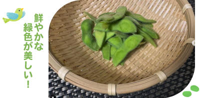 大豆の収穫